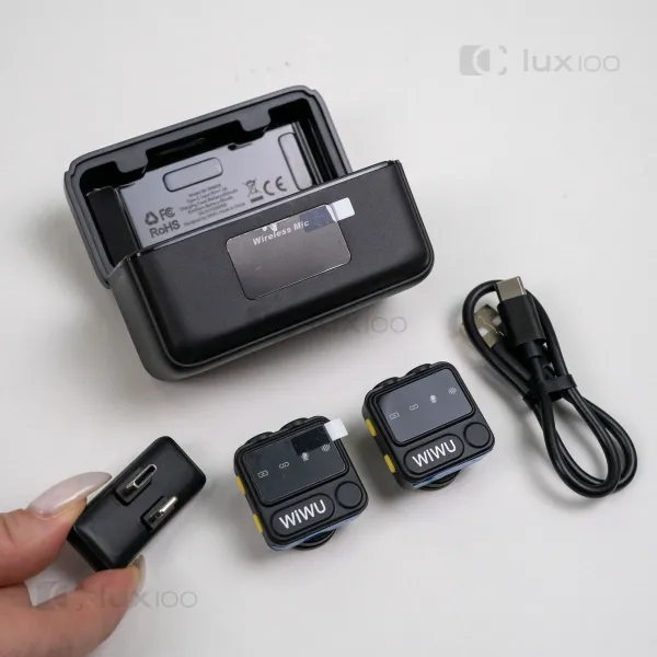 Подвійний мікрофон петличка Type-C/Lightning для телефону із зарядним кейсом Подвійний мікрофон петличка Type-C/Lightning для телефону із зарядним кейсом